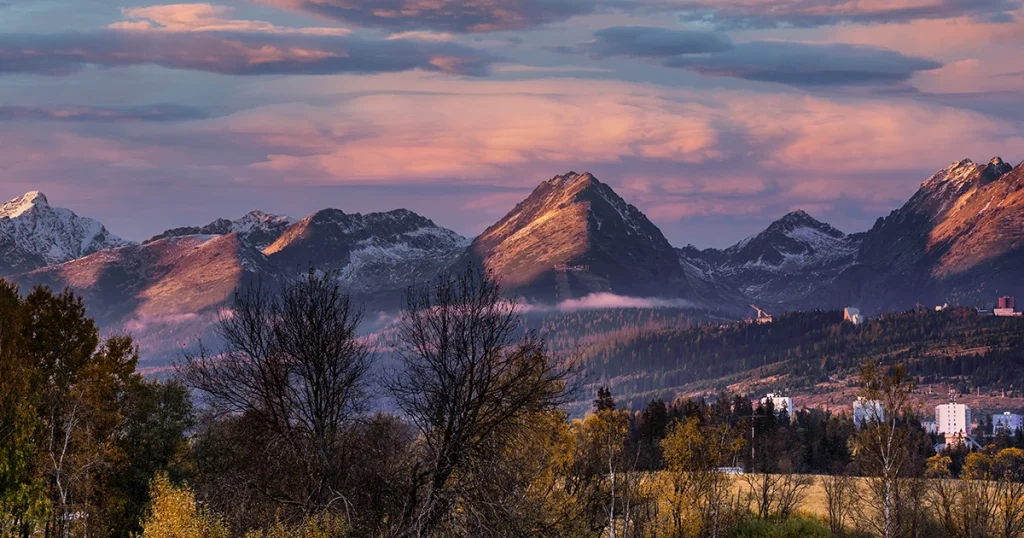 Montana Therapy Websites