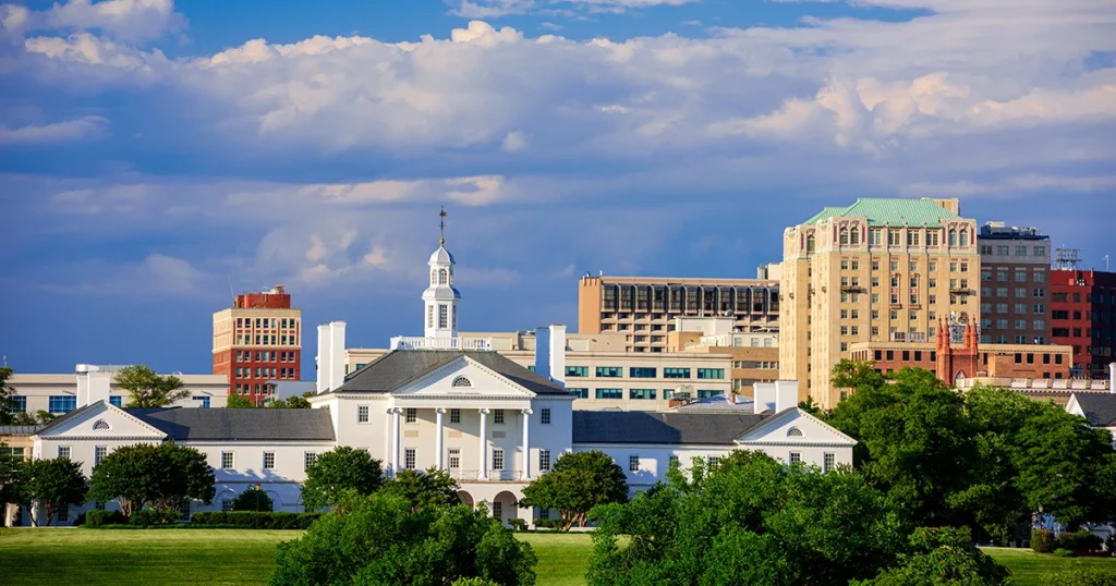 Virginia Therapy Websites