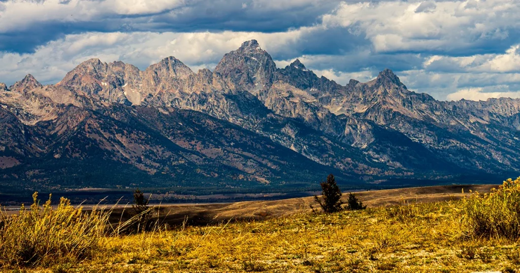 Wyoming therapy websites